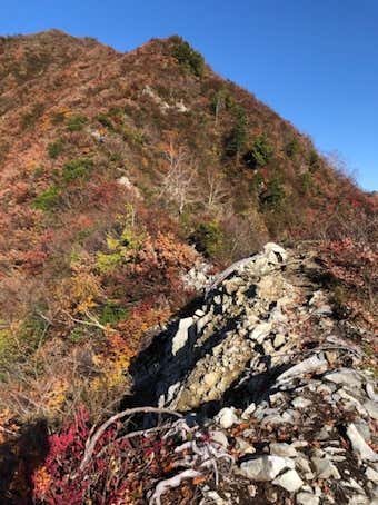 白クラの頭への登山道