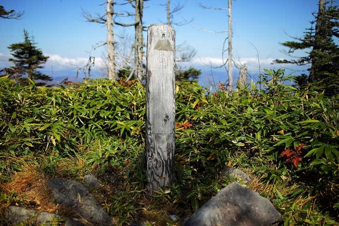 鳥甲山山頂