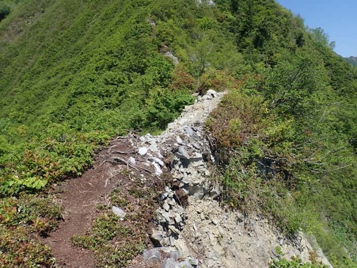 鳥甲山のヤセ尾根