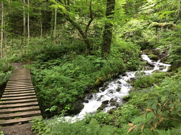 霞沢岳　登山道中の橋