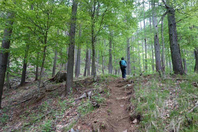 栗生コース登山道