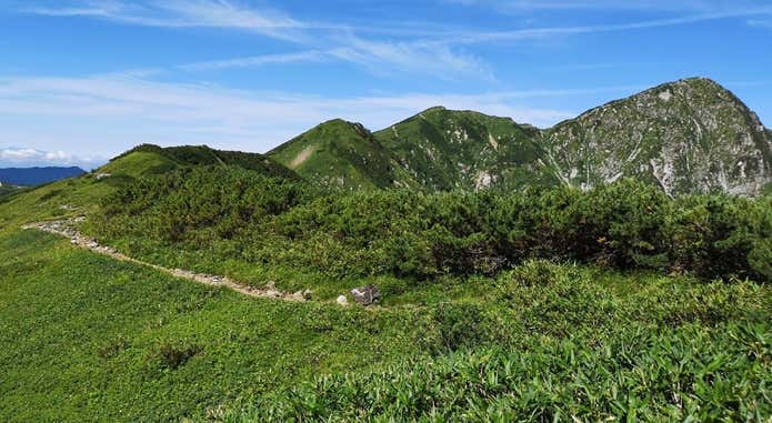 奥大日岳への道