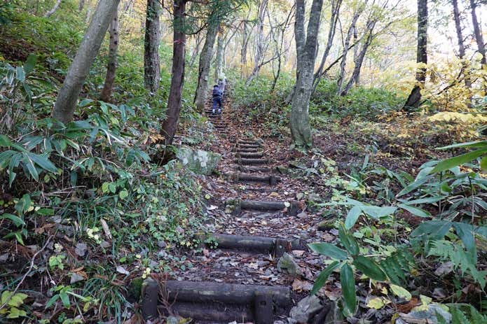 仙ノ倉山登山道階段