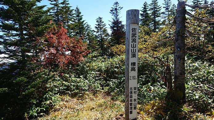 佐武流山　山頂