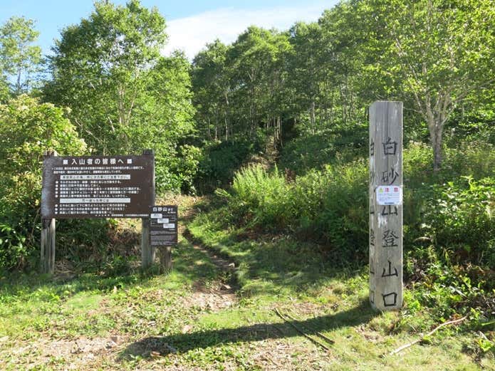 白砂山登山口