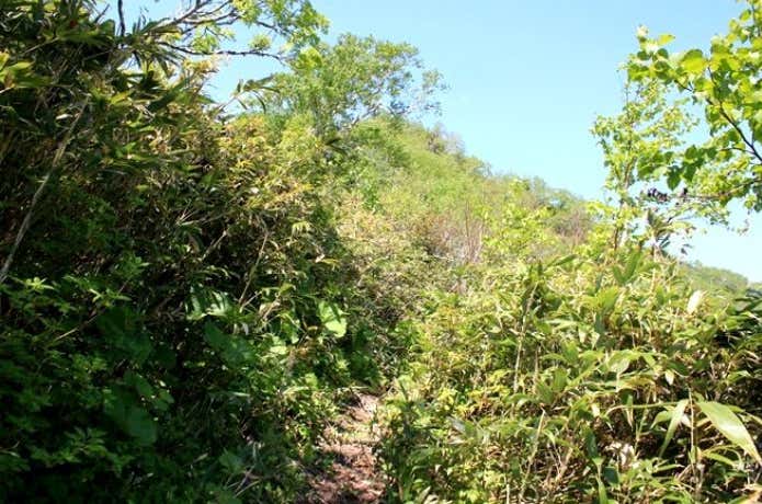 空沼岳との縦走路合流