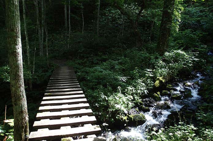 徳本峠登山道の清流