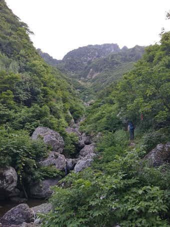 生金沢渡渉後右側を歩く