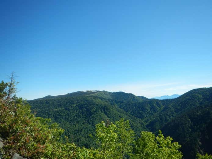 佐武流山 　ワルサ峰から見る苗場山
