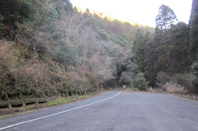 林道