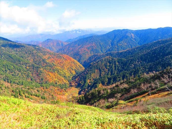 佐武流山　紅葉