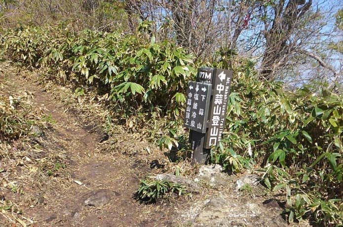蒜山 登山 分岐