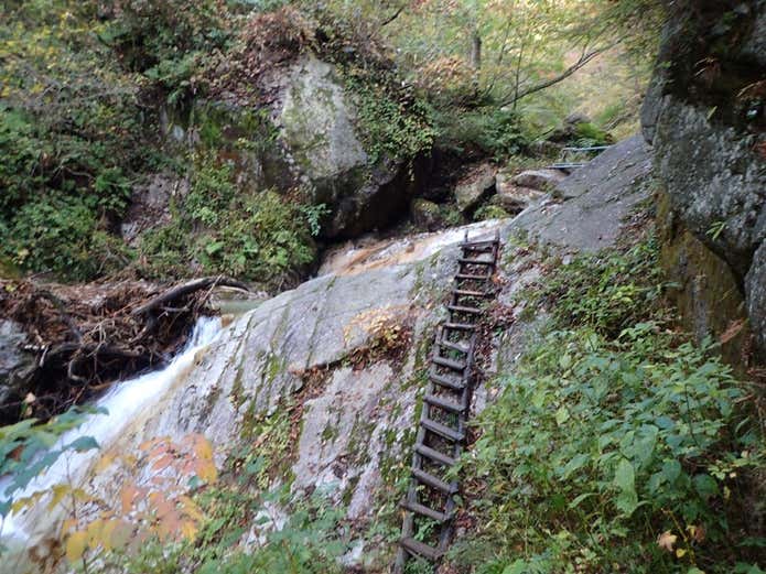 餓鬼岳の登山道