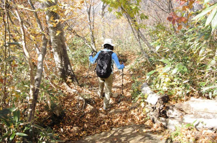 秋の登山道