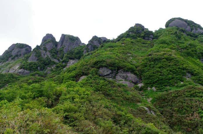 新緑の八海山