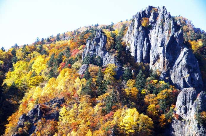 紅葉時季の豊平峡温泉