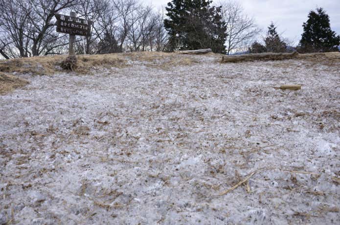 雪の少ない登山道