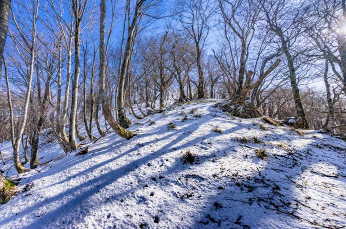 雪山