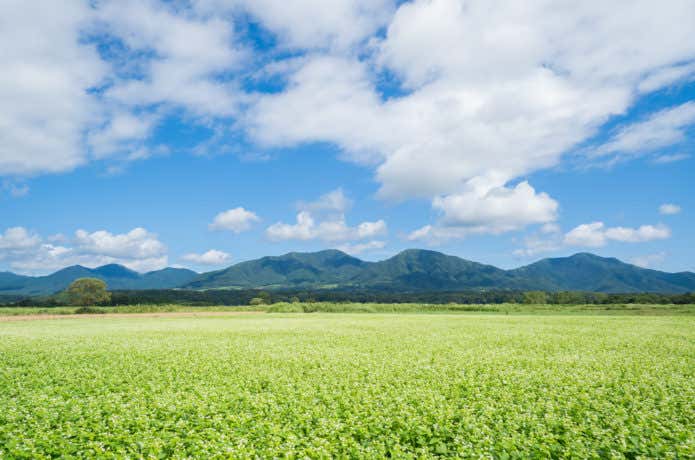 蒜山