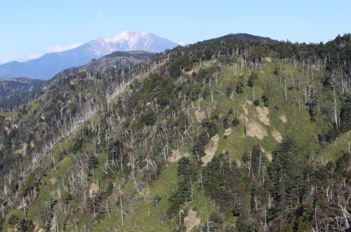 小秀山