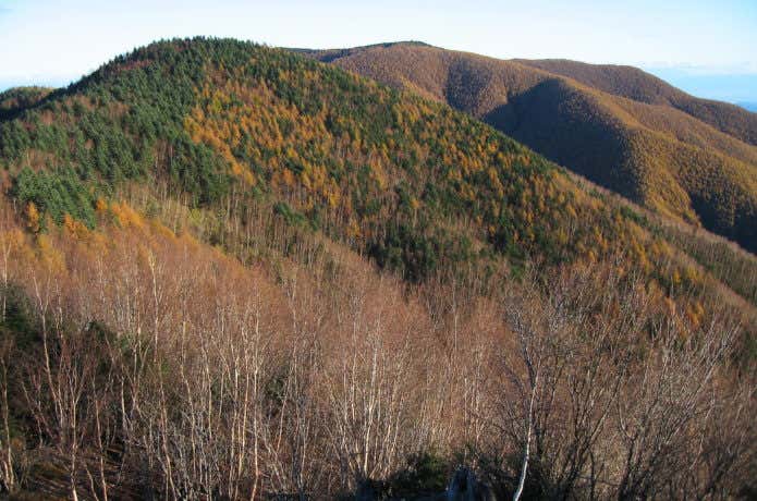 和名倉山の山容
