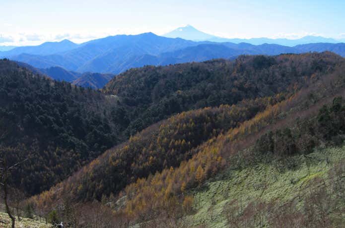 和名倉山のコース中の展望