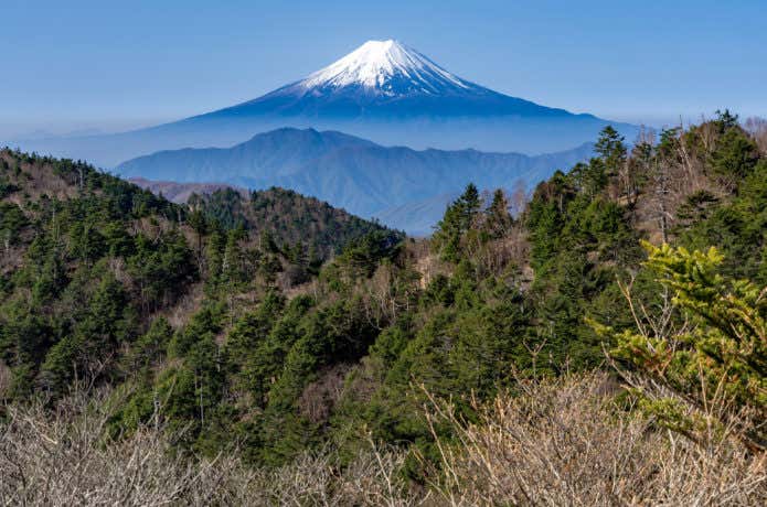 小金沢山