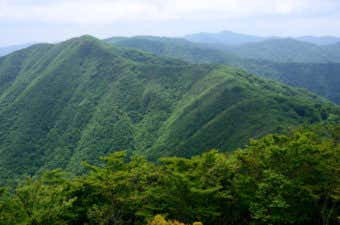 伯母子岳