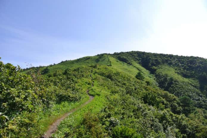 蒜山 2合目 稜線