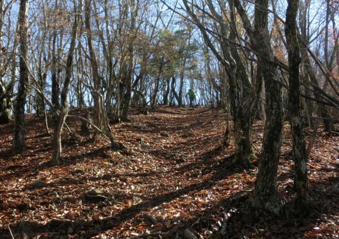 伯母子岳 山頂への登り