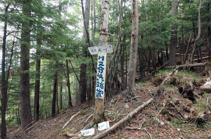 川又分岐の標識