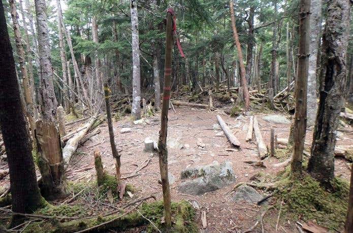 和名倉山の山頂