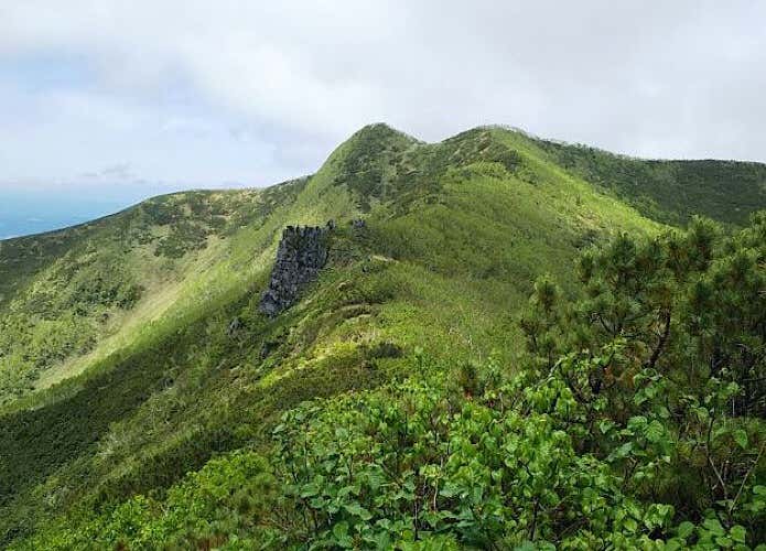 屏風岩に向かう登山道