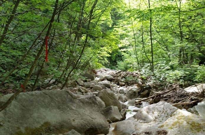 岩の転がる沢沿いの様子