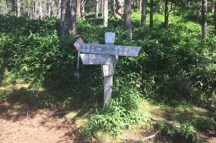 山ノ神土の分岐
