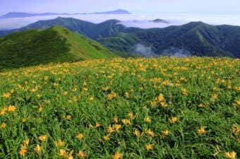 和賀岳