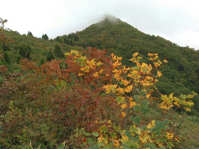 コース途中から見える御神楽岳