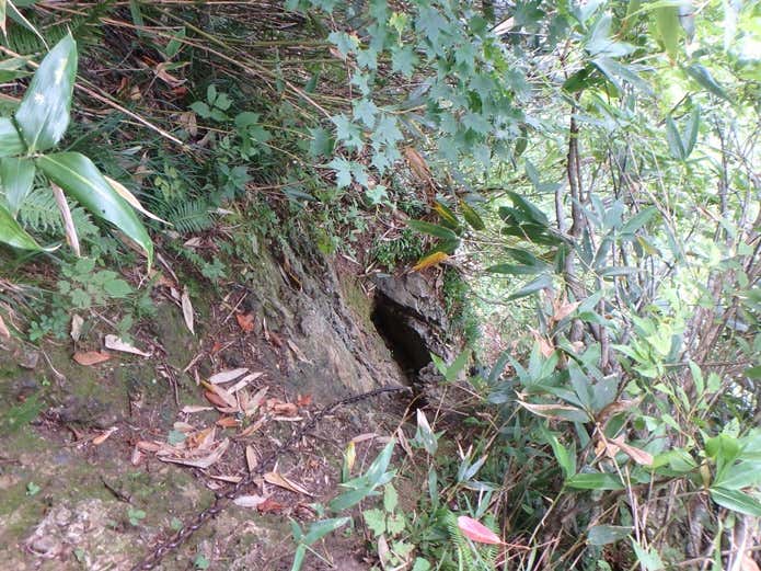 新開道の鎖場