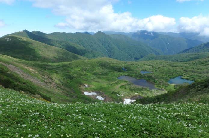 七ツ沼カールと高山植物