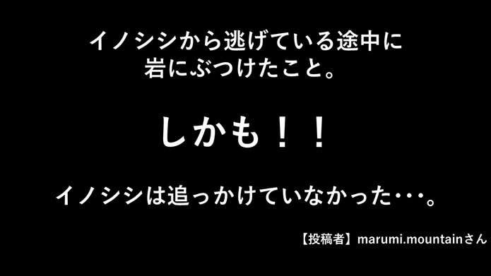 エピソード