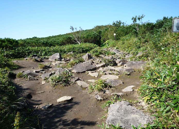 広場