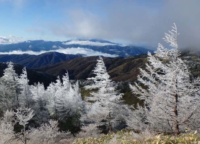 摺古木山の霧氷