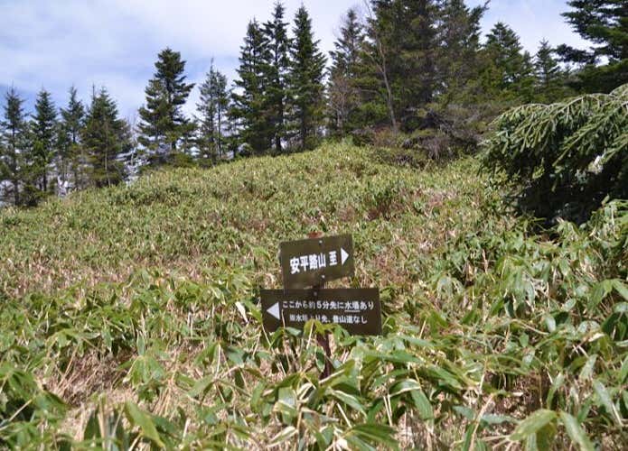 安平路山へ向かう登山道