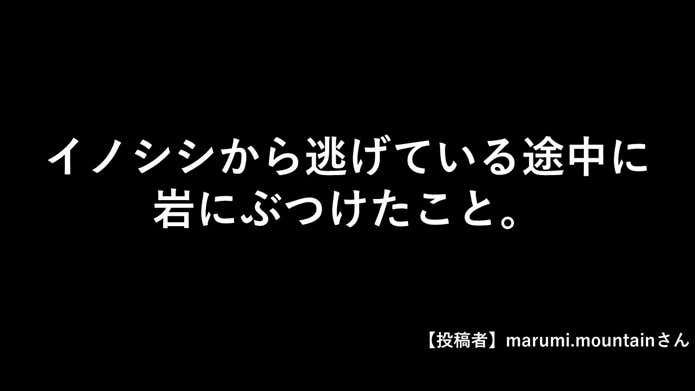 エピソード