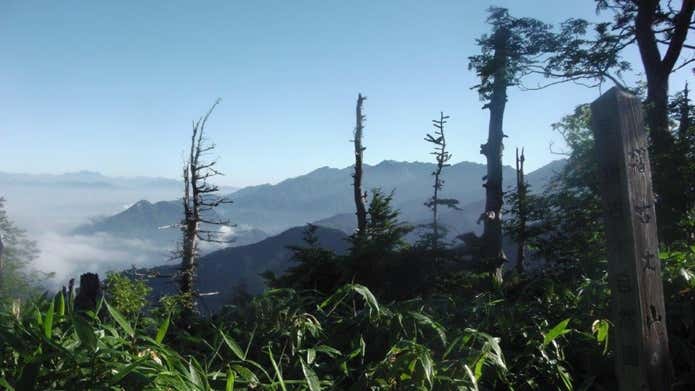 摺古木山山頂