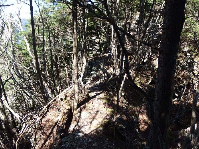 小屋から崩落地への道