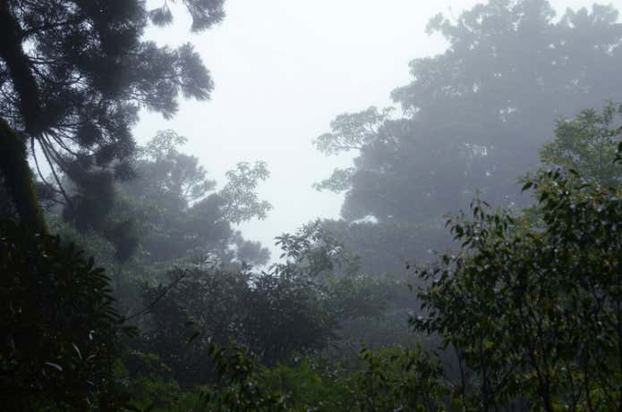 雨の日の登山