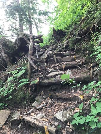ブナ立尾根