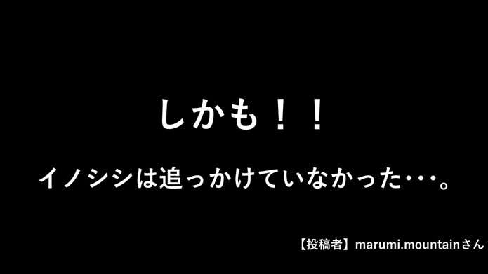 エピソード