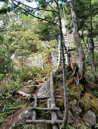 登山道のハシゴ